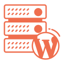 Custom WordPress